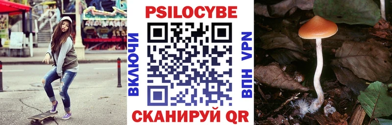 Галлюциногенные грибы мицелий  как найти   Чадан 