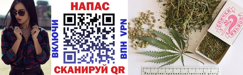 Каннабис OG Kush  сайты даркнета телеграм  Чадан  наркотики 